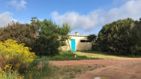 Summer House -HAY LOMBRIZ-